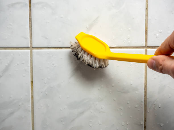 Greenville, DE Mold Remediation Company