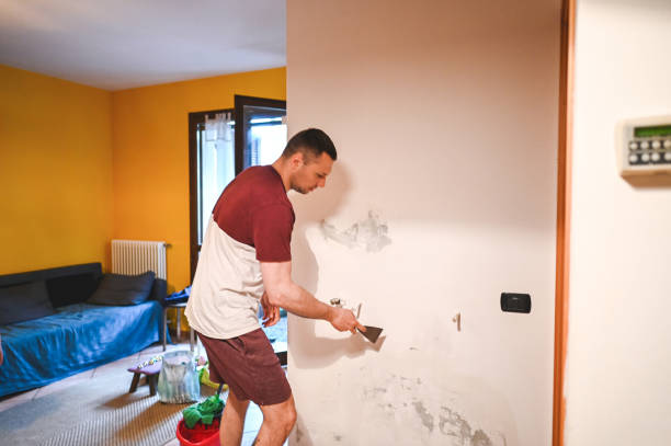 Best Health and Safety Mold Remediation in Greenville, DE